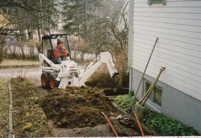 bobcat1